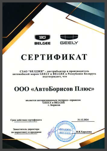 Сертификат Джили_Сайт1